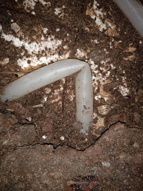 庆安堵点精准查找